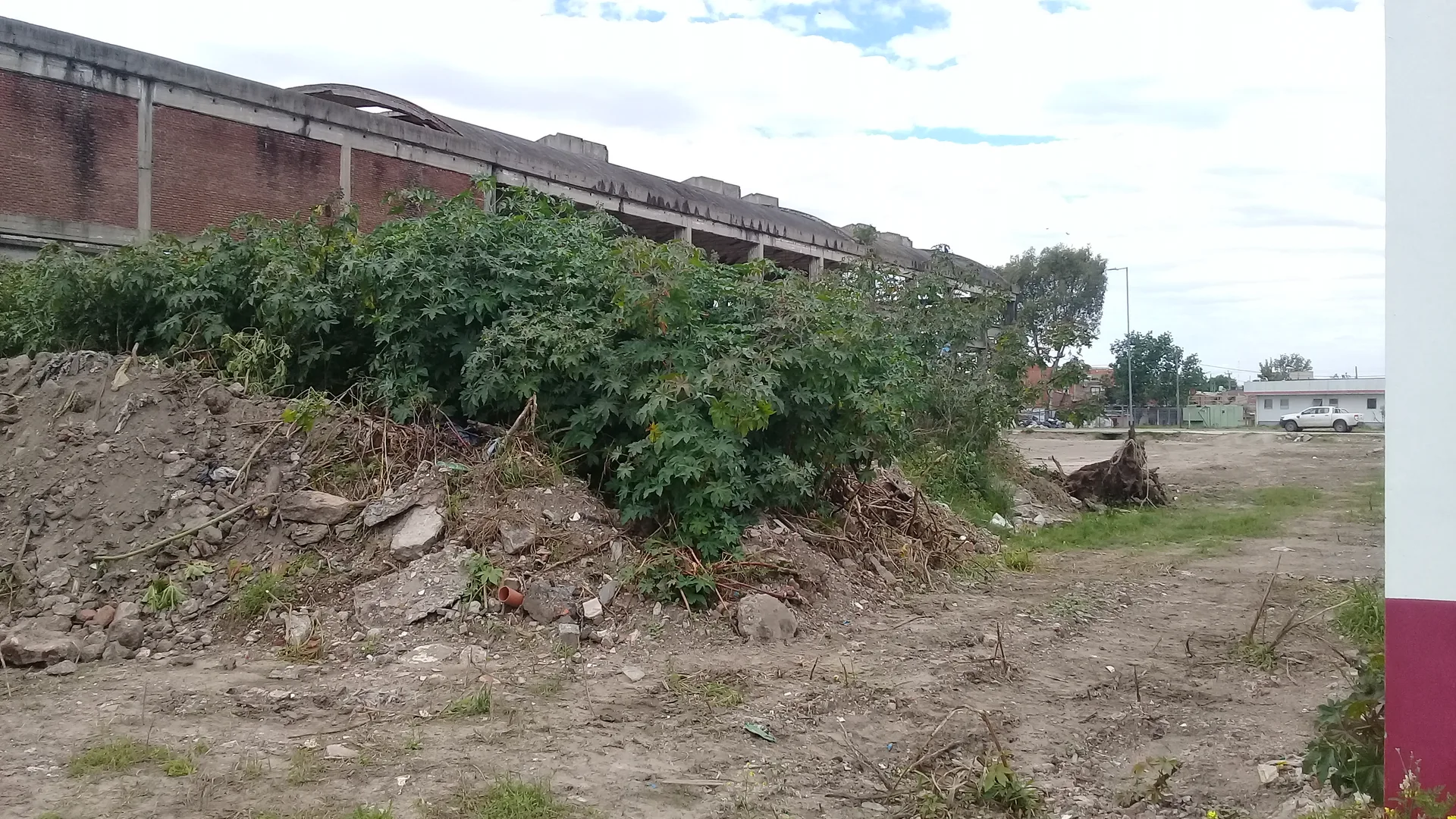 Coordinación ICCE DINALE - Foto 6