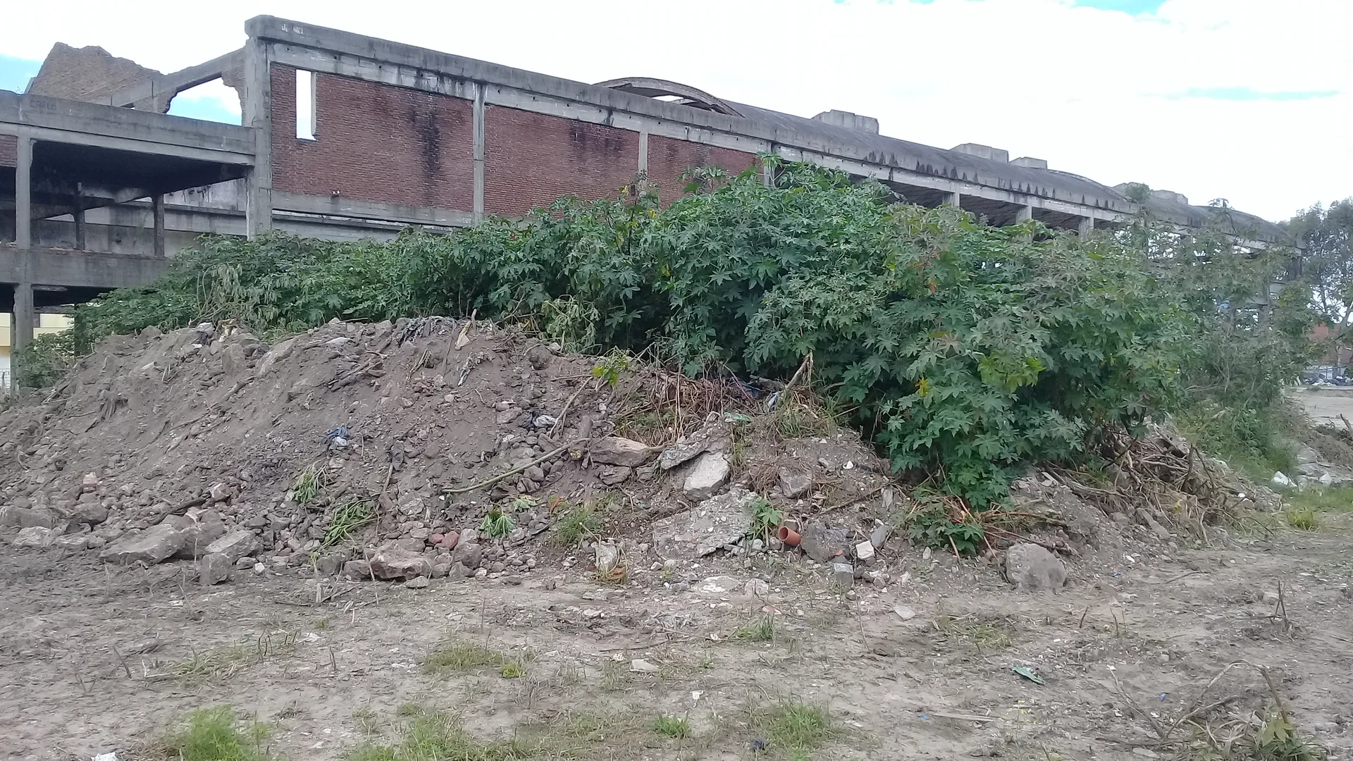 Coordinación ICCE DINALE - Foto 7