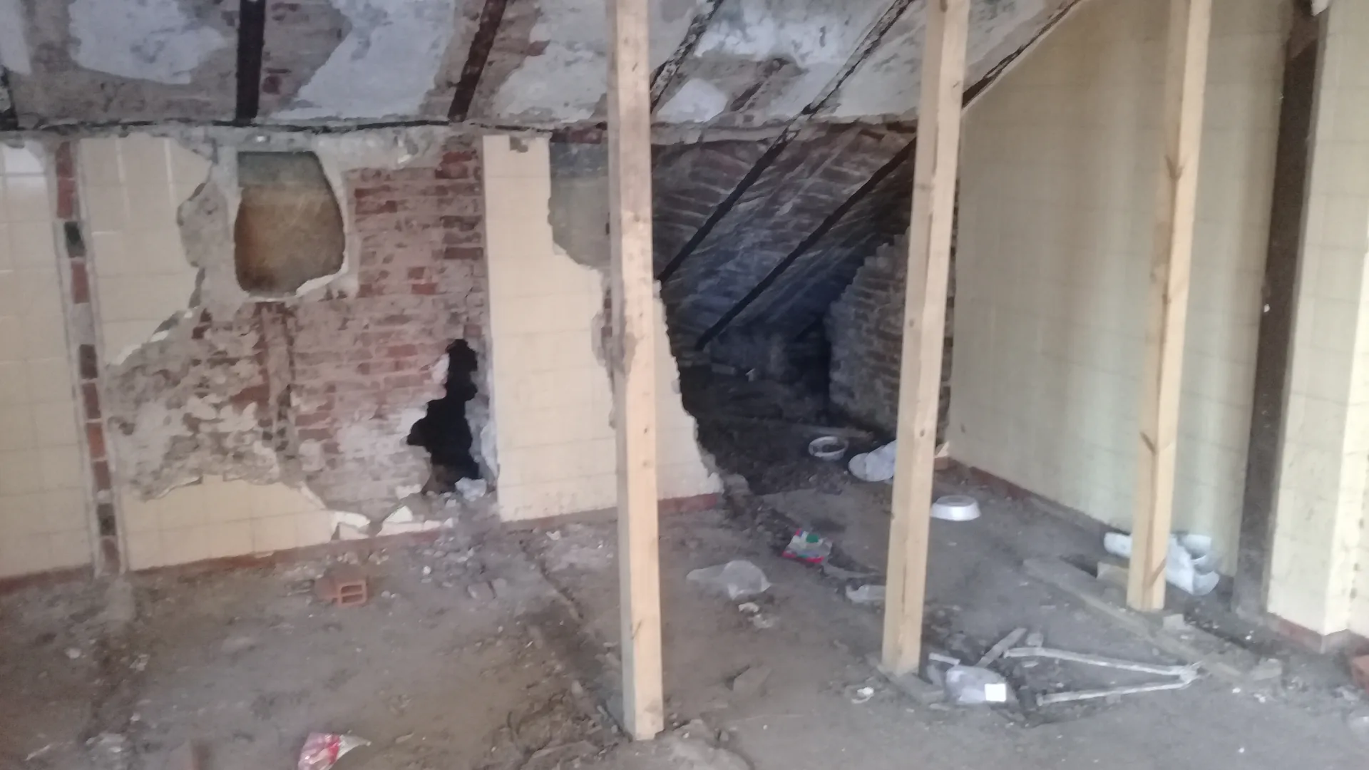 Supervisión La Rural DINALE Rosario - Foto 22