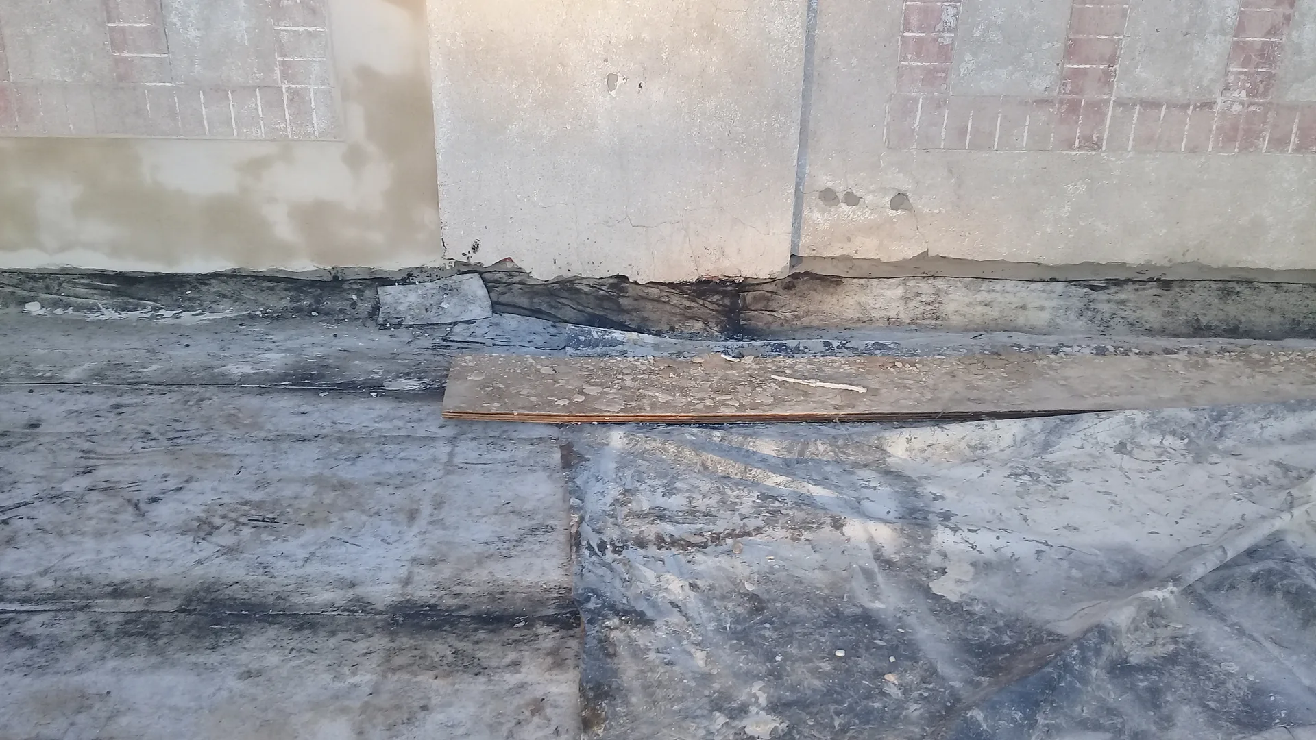 Supervisión La Rural DINALE Rosario - Foto 29