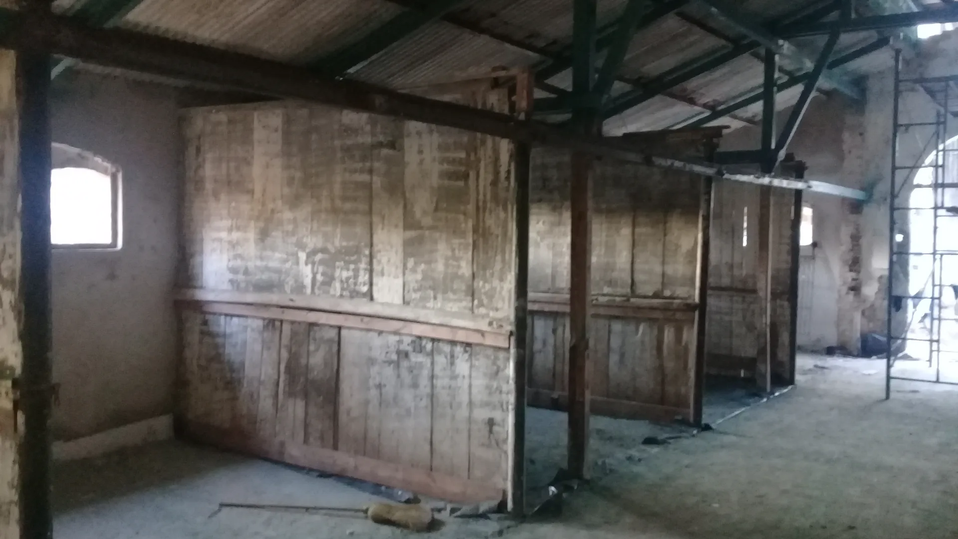 Supervisión La Rural DINALE Rosario - Foto 36