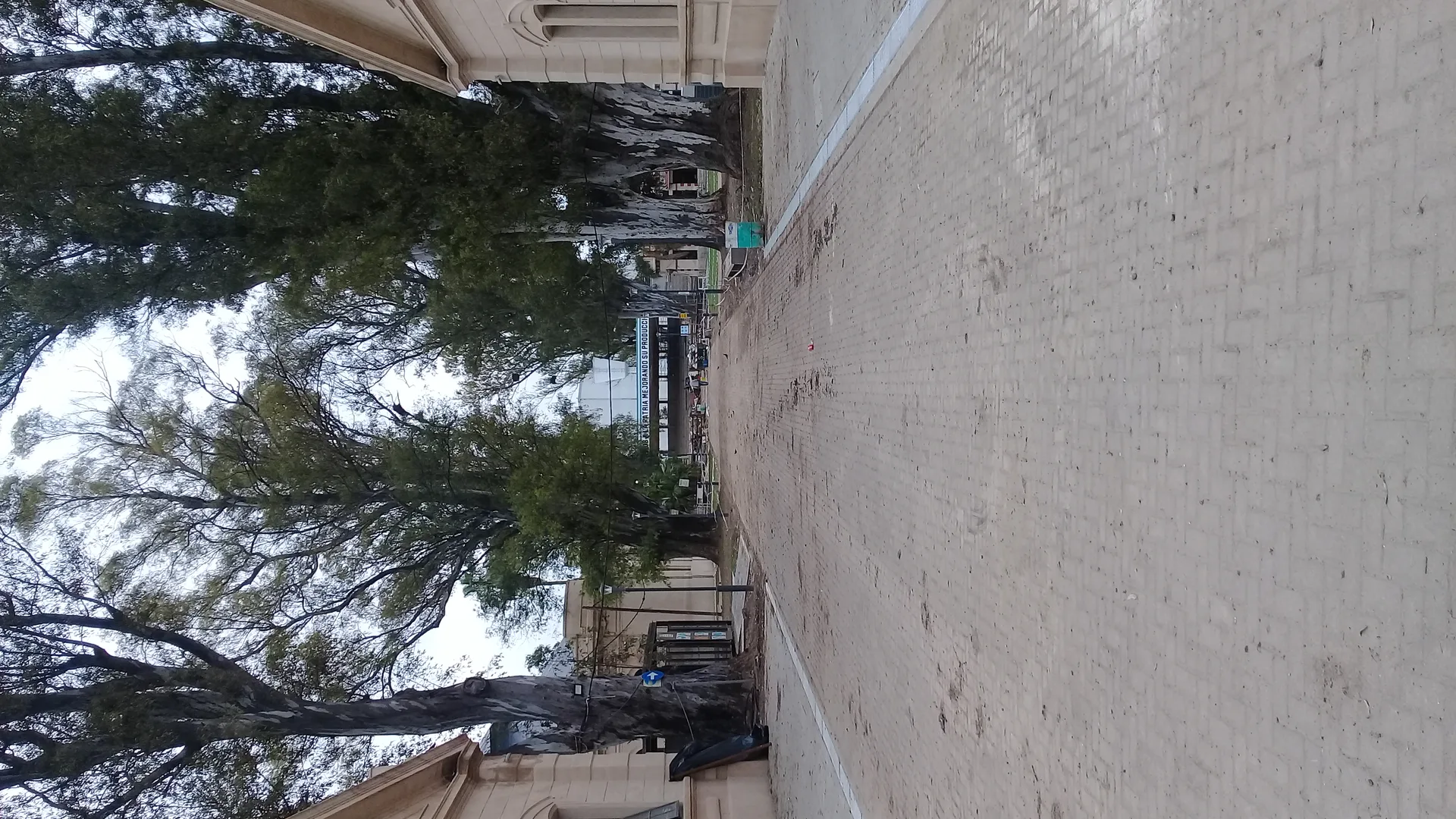 Supervisión La Rural DINALE Rosario - Foto 74