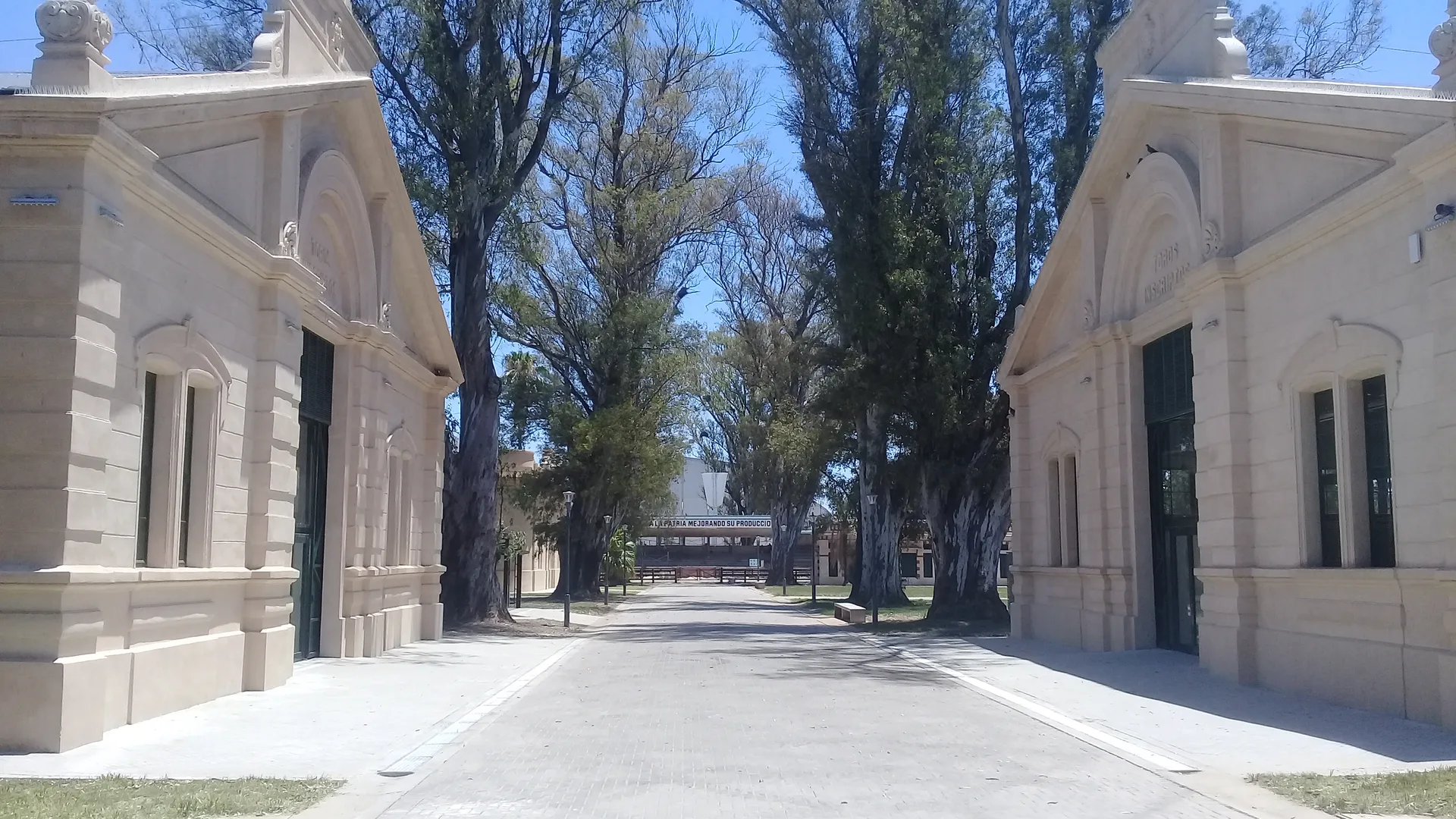 Supervisión La Rural DINALE Rosario - Foto 86